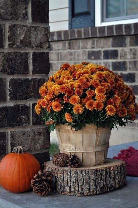 Autumn porch styled with pumpkins, mums, and lanterns